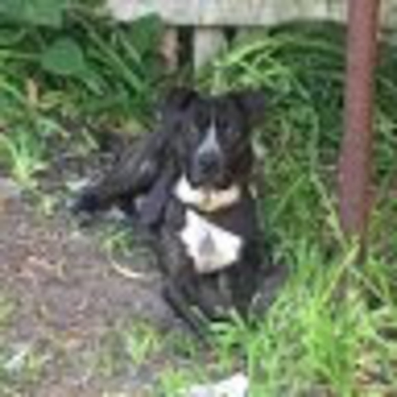 Meet your Posher, Paula - Picture 1 of 1